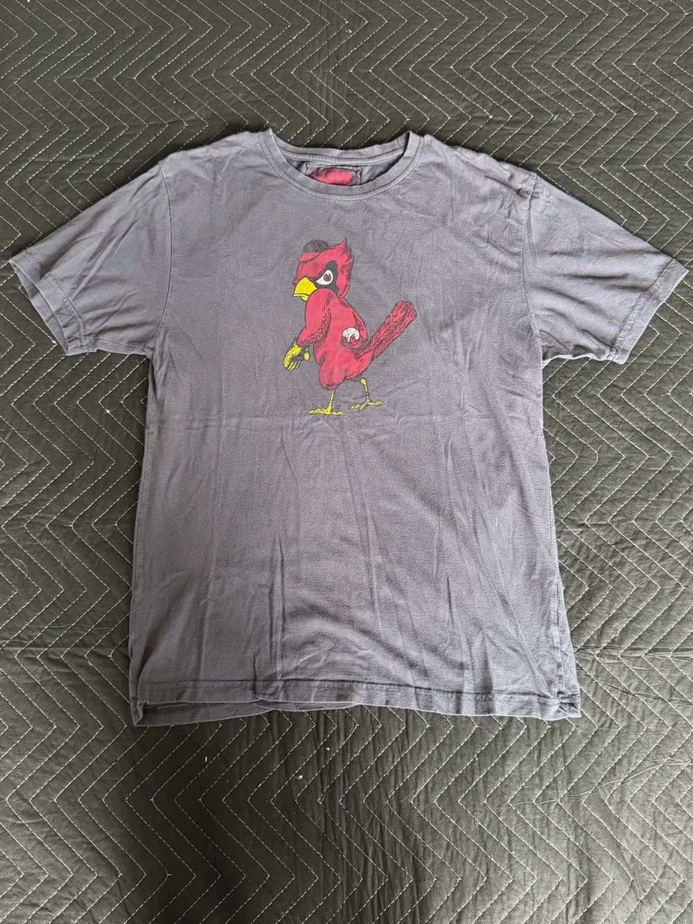 Red Jacket Gray Tee with Red Cardinal Graphic